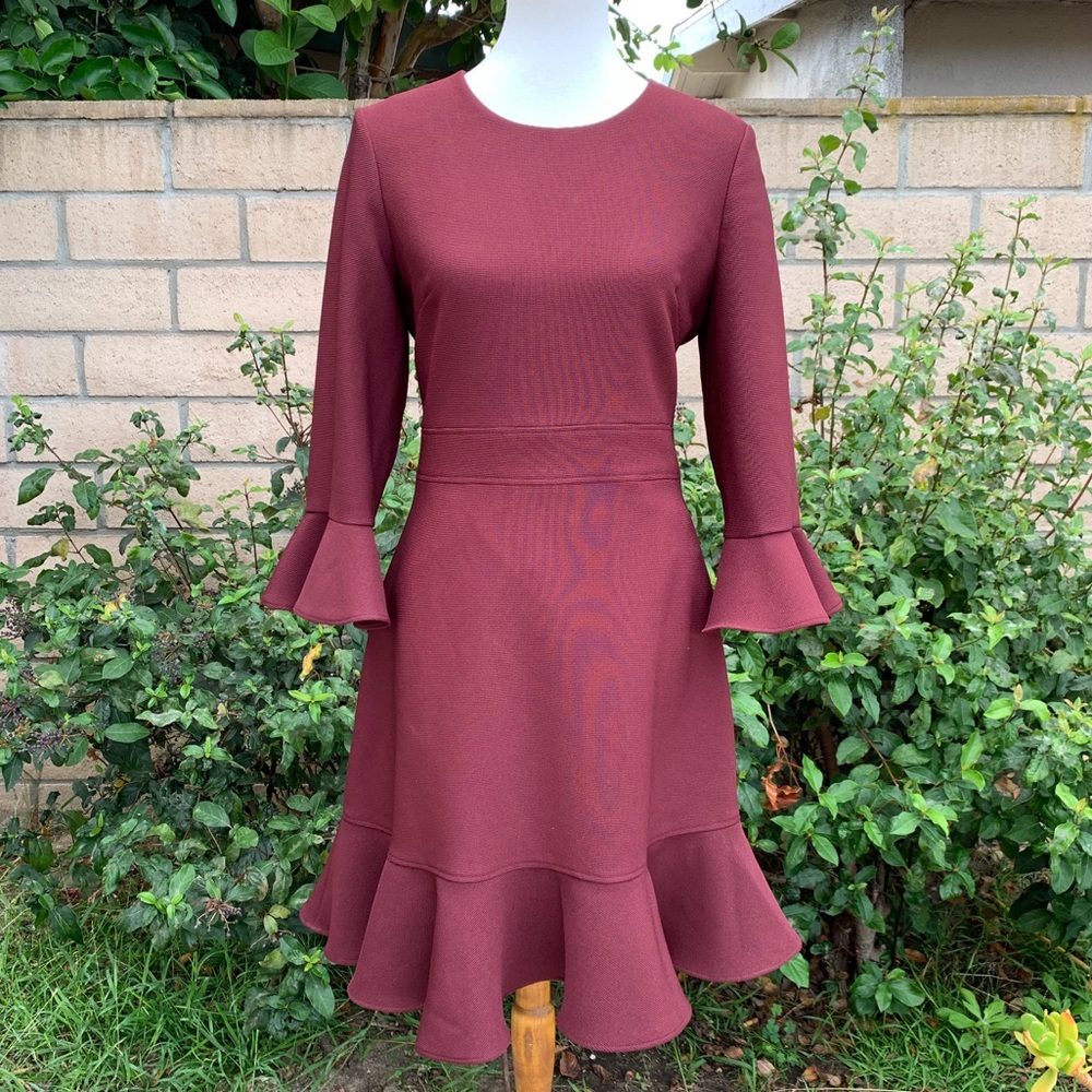 Eliza J Bell Burgundy  Sleeve Ruffle Sheath Dress